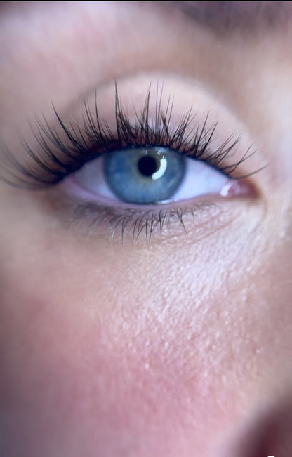 SOFT VOLUME - No Glue Lashes - Includes Non stick tweezers